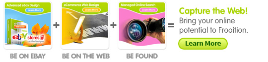 eBay & Web Combo