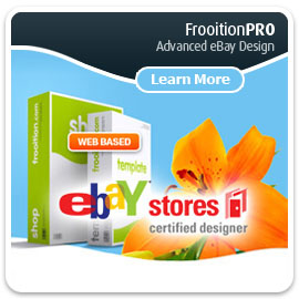 frooitionPRO : Advanced eBay Design
