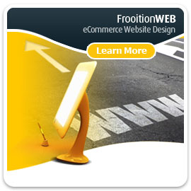 frooitionWEB: Website Design