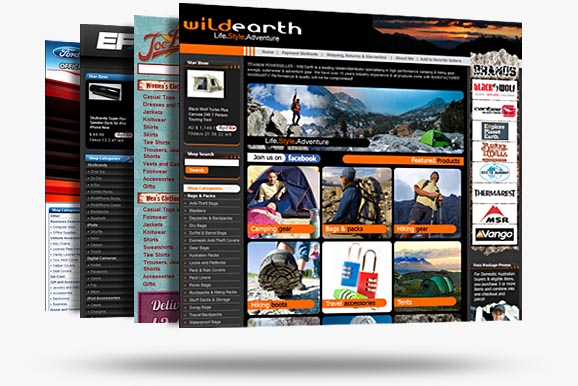 Frooition eBay Template Design
