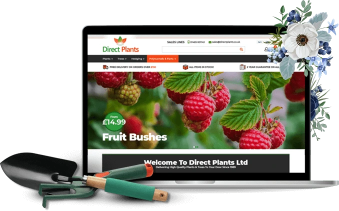 Frooition BigCommerce Case Study